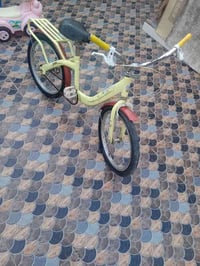 باسكل • حجم ٢٠ • بني منصور