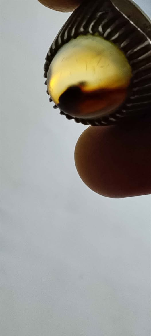 خاتم فضه صياغة 
عقيق يماني سعره30 البصرة, العراق


**إذا كنت صاحب هذا الإعلان وتريد حذفه لأي سبب، رجاءا أرسل رسالة إلى الدعم الفني**