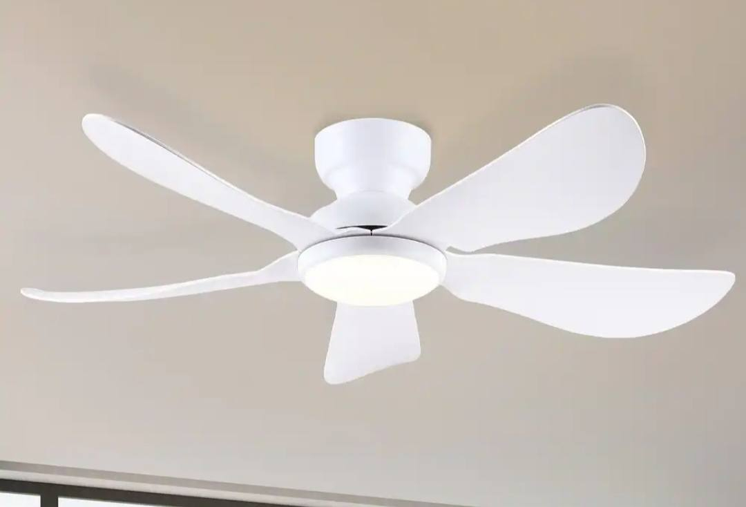 للبيع بنكه بيها اضاءه مع ريمون


**إذا كنت صاحب هذا الإعلان وتريد حذفه لأي سبب، رجاءا أرسل رسالة إلى الدعم الفني**