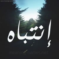 حنطة علفية • ٨ كواني • مجيسات كامل