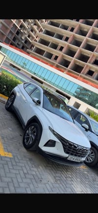 توسان • ٢٠٢٤ • رقم اربيل
