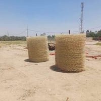 كربلاء • سويتر • نوروزي