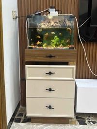 حوض وملحقاته • الميز • طويريج