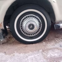 شباب عندي ذني ١٤ هنه وتوايرهن اريد تخم منغولي ١٥ مراوس اذا اكوو مكان م...