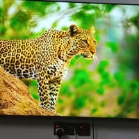 سكاي ورث • ٦٠بوصة • 4K