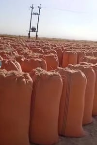 عمال • تحميل تبن • عربانة