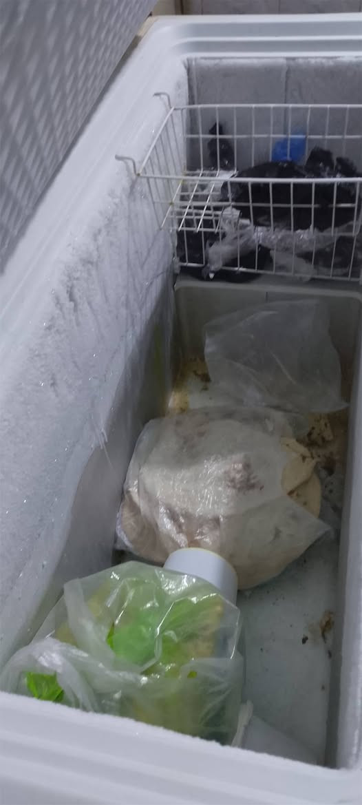 سلام عليكم مجمده حلوه جديده شرط ثلج تجي تفحص وتخذ سبب البيع لن اريد اشيل السعر 250وبيه مجال مكان كربلاء حي العسكري العابد ***********
