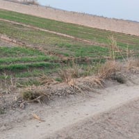 اليوسفية بئر الحمام • دونمين • سند باسمي