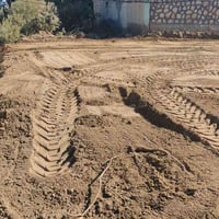 عرصه زراعي • ال حمد • ٢٥٠م