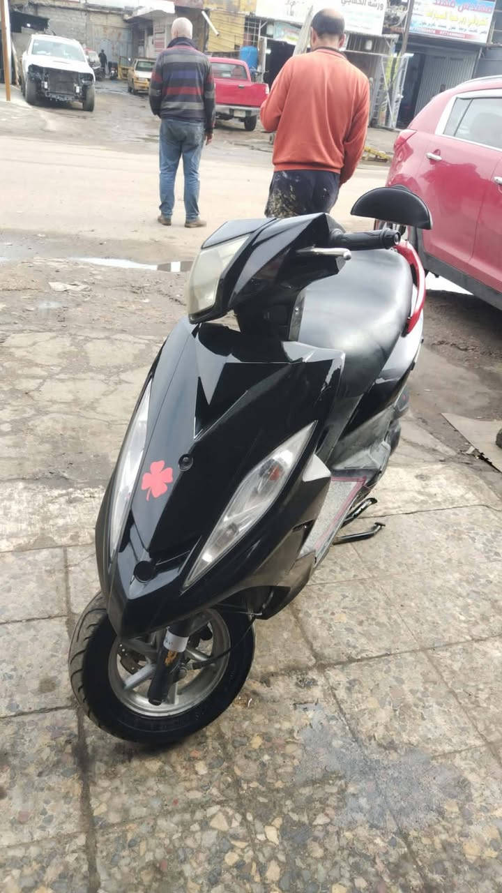 سلام عليكم مراوس بسكنس جبلي سكنس عادي ***********
