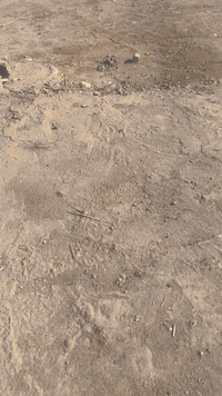 قطعة ارض للبيع المساحه 230متر واجهه سته متر طابو 25على طريق الزوار طريق طويريج عمود 271 أقرار محكمه للمزيد من المعلومات الاتصال /***********///***********
