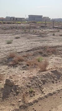 عرصة ٢٠٠م • سند ٢٥ • ديوانية دغارة