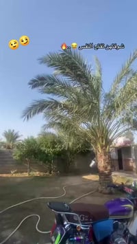 نامه ٢٥ • رابيدر • بعقوبه