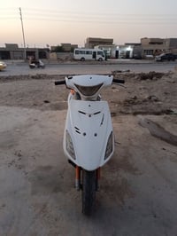 ادرس • معدل فول • زنجيل مقطوع