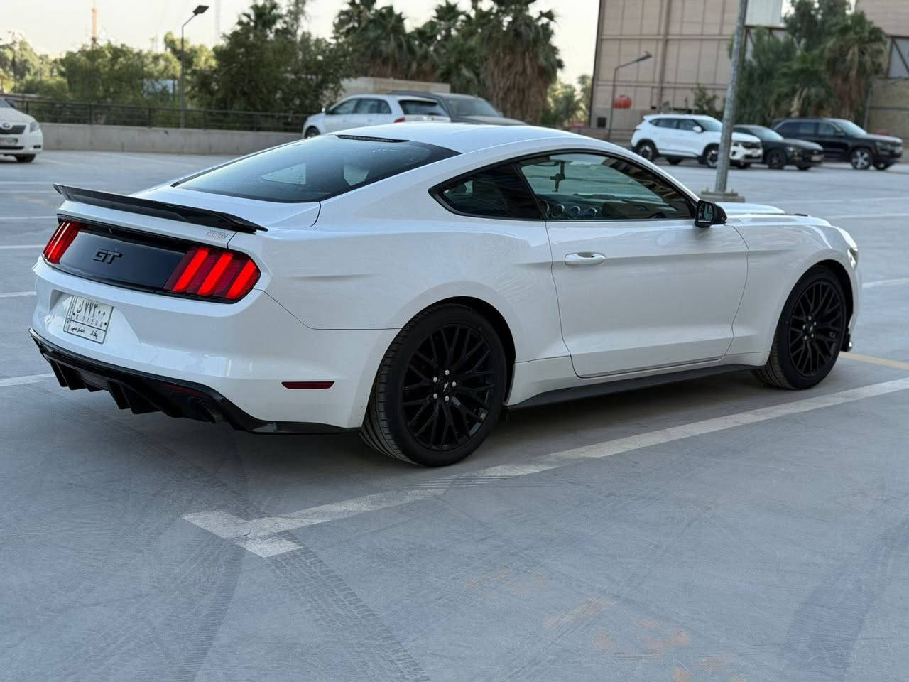 وينهم عشاق الحنتور 

صارلي ٣ سنين مشايف موستنك بهل نضافة ونوب V6 وبسعر اوبتما 

 موستانگ 16

‎‏V6 / 3.7 / رقم بغداد وشبه مميز باسمي
‎بدوووون ايرباك

‎قطعة ونص صبغ

‎جاملغ عكس سايق + نص جاملغ السايق

ماشية  { 95 الف ميل }

الحادث بنيد وجاملغ

‎البنيد مبدل بمال جيتي لون ابيض بلادي بدون صبغ

‎فول مواصفات  ؛ كشن سايق كهرباء ، بروجكتر ، شاشة ، كاميرا ، تشغيل عن بعد ، سپورت ، شفتات ستيرن ، ٣ وضعيات ستيرن 

‎الاضافات :

‎بنيد جيتي ابو الفتحات لون ابيض بلادي بدون صبغ
‎لحية امامية سيرڤيني 
‎دفيوزر خلفي شكل جديد مشيف 
‎ويل تراك بكج اصلي مال موديل 21  حجم 19
‎القطع الاضافية مال شفتات ستيرن لون احمر
‎السياره عليها صيانه كامله  وسياره كامله من كل نواحي

#السعر_الطلب_في_التعليقات

العنوان بغداد كمسارة

***********
