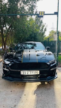 موستنك ايكوبوست • بلاك ادشن • حادث جانبي