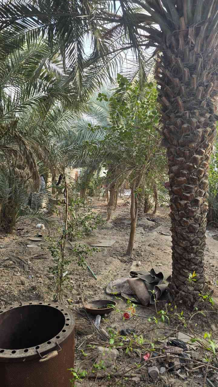 دار 🏠 سكن المساحة 550متر مع بستان مزروع خلف بيت نوع العقار طابو ملك صرف زراعي تحويل بسمك العنوان بصره أبي الخصيب منطقه باب عباس قريب على سوك جبير دقيقتين  عرض شارع 12متر تبليط يتكون بيت من غرفتين ودواني وصاله ومطبخ صحيات خارج وداخل السكف كونكريت مسلح  بيت فارق اتكاتب وستالم مفتاح 🔑 السعر 125مليون وبيه مجال الاستفسار أكثر اتصل ***********
