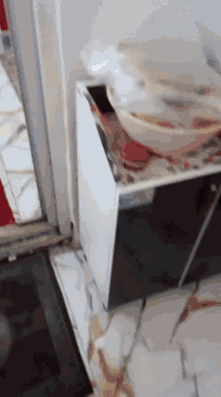 السلام عليكم بيت  غرفتين وصالة ومطبخ صغيرة مساحة 315 ركن ع شارعين البيت مو كامل بنيان مساحة جداً جبيرة عقد 35 العنوان كربلاء الشبانات قرب دار الايتام البزل الثاني السعر 25 مليون وبي مجال مستعجل ع بيعته 
للاستفسار الاتصال على الارقام التاليه ***********,*********** رقمي الاشياء بي واتساب وأهلاً وسهلاً
