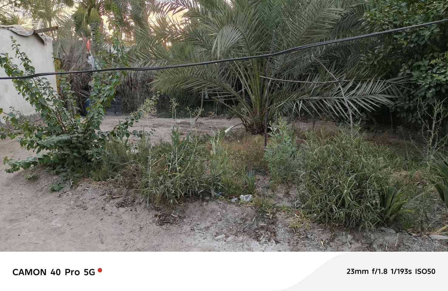 بستان للبيع
٣دونم  
 بيت ٣٠٠ متر كامل
٣غرفه 
مطبخ 
ستقبال ١١متر معزول 

 حديقة 
يبعد عن الولايه ٣كيلو 
الموقع المعبره 
***********
