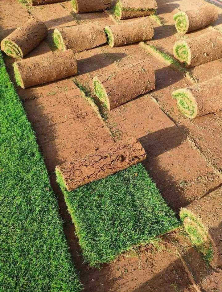 مزارع  ديالى للثيل الطبيعي 🍀
متوفر كافة انواع الثيل 🍀
( امريكي - الهندي - الايطالي - الفرنسي )
لتجهيز... مشاتل🌴
والدوائر حكوميه🏦
منازل🏡 
منتزهات🏄
موجود خدمة توصيل 🚕
لكل محافظات العراق 🚕
للطلب يرجى التواصل مع الصفحة او مراسلة واتساب او الاتصال على :
***********‏##‏‪***********‬‏
