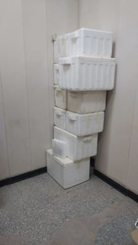 ١٢ فلينه • نظيفة • مكاني بابل شارع ٦٠