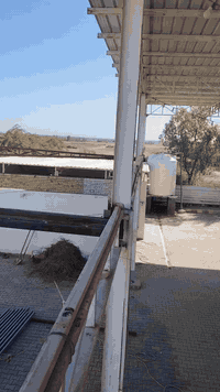 جميع الأعمال الهندسيه والحداده شغل درجه اولئ مكانه بلنحف وشغل جميع المحافظات عماريات وجملوناتض١ كيسبان وكرفانات اي شي يخص والحداده نتشغله بيبان وشبابيك حسب الطلب عنوان المحل عامود 130 شارع كربلاء  سكوف مال سطح جميع القياسات 200 او 400 كل القياسات أرقام الهاتف***********//***********)
