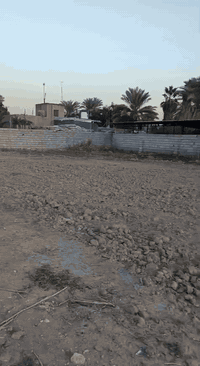 السلام عليكم   بيع مستعجل بسبب ضرف
قطعتين اخوات ركن مساحة القطعه 200 م  المساحه الكليه  400م   ركن  تبعد عن شارع المصلخ العام ١٥٠م 

موقعهن فرع المصلخ  

السعر 32وبي مجال   خدمات. ماء   تبليط  كهرباء 

الأستفسار ***********
