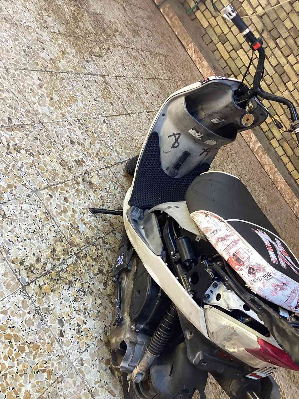 السلام عليكم  ماكس منغولي 
مكفوله من كلشي بس عده سلف رادله بس شخاطه اريد مراوس بيراني 
‏‪***********‬‏
