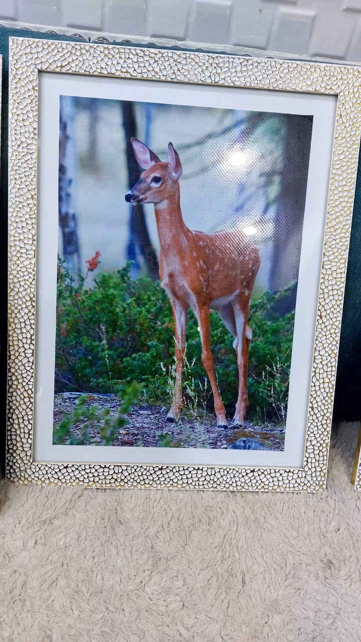 للبيع  حسب الحاجة للاستفسار تعال خاص


**إذا كنت صاحب هذا الإعلان وتريد حذفه لأي سبب، رجاءا أرسل رسالة إلى الدعم الفني**