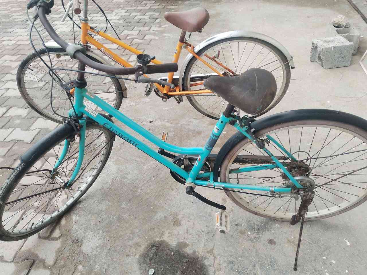 عنوان طوز خورماتو دوز مول طريق خدامي رقم الجوال *********** عدنه جمله ومفرد كل حجم عدنه
