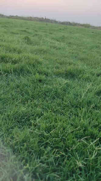 أهلاً بكم في مجموعه مزارع ديالى لثيل الهندي الطبيعي 🌿🌱

 نقدم لكم افضل انوع الثيل الطبيعي عالي الجوده يتحمل كافه الضروف البيئية.🌦️🌞

دائم الخضرة🌿🌳 وباسعار تنافسيه وعروض مميزة ☘️❤️

#مستعدون لتجهيز وفرش الحدائق🏡 ودوائر الدولة🏡والمنازل🏡🏡

و تجهيز الملاعب🏟️ والمنتزهات بانسب الاسعار مع ضمان الجودة العالية في العمل👷👷

مع خدمة التوصيل خلال24ساعه🚛🚛

الاسعار 💵💸 تختلف حسب الكمية 

للاستفسار الاتصال على : 

او التواصل مع الصفحه عن طريق ارسال رسالة على الوتساب او الاتصال📞‏‪***********
