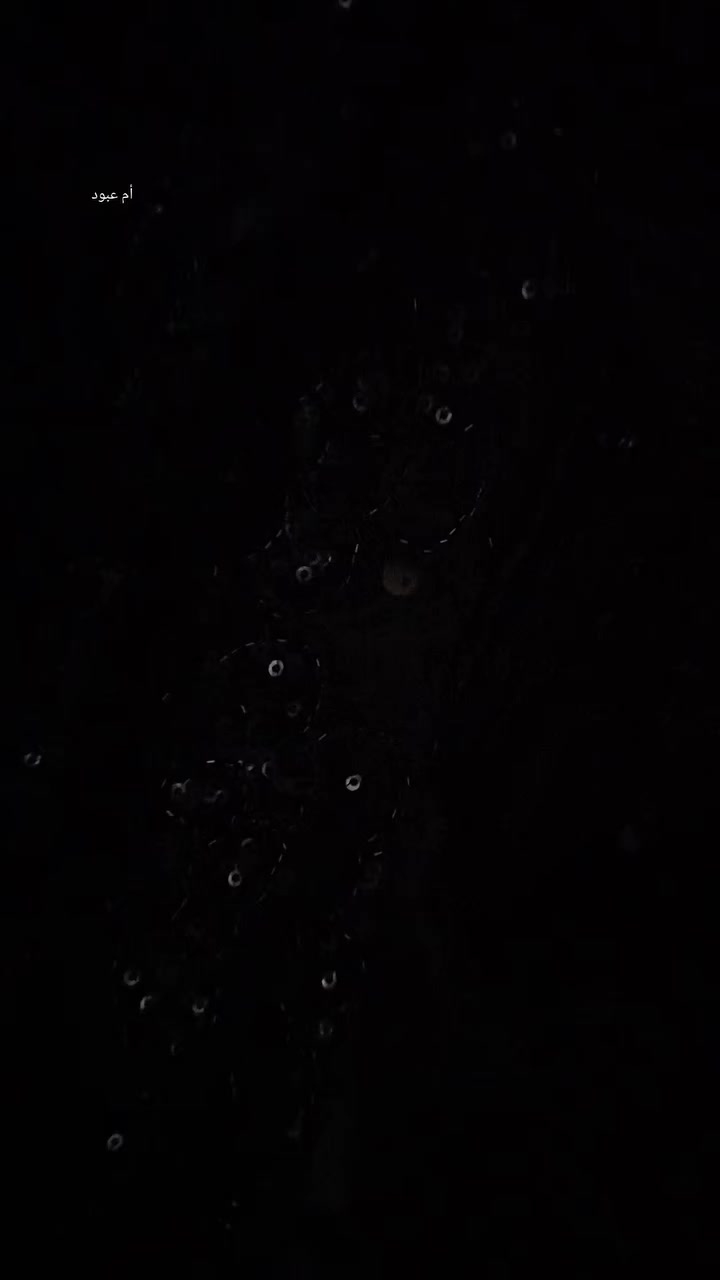 سيت نوم للبيع جديد شتريتة ومصار نصيب السيت شتريتة ب90 اريدة ب50 والداخليات جدد الله شاهد شتريتهن ب25 اريدهن ب10


**إذا كنت صاحب هذا الإعلان وتريد حذفه لأي سبب، رجاءا أرسل رسالة إلى الدعم الفني**