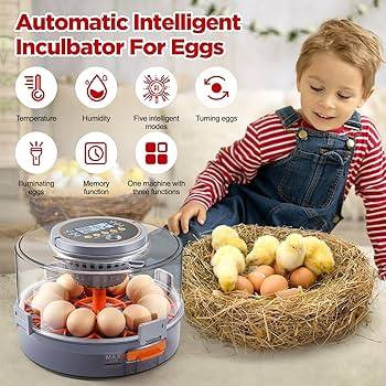 فقاسة بيض فوول اوتماتيك تفاصيل جوة بل منشور السعر 130 الف ولا تكلي ليش اقرة😉 المواصف
سعة كبيرة】 يمكنها حمل 12 بيضة دجاج/ 12 بيضة بطة/ 40 بيضة حمامة/ 40 بيضة سمان/ 8 بيضات أوزة (يلزم وجود بيض مخصب للفقس)
【5 أوضاع ذكية】مع 5 أوضاع ذكية، يتم اختيار أعلى قيمة لمعدل الفقس بعد اعتماد نتائج تجريبية متعددة لضبط معايير درجة الحرارة والرطوبة. يتم التحكم في عملية الفقس بالكامل وتعديلها بذكاء دون تدخل بشري مفرط
【تحكم تلقائي في درجة الحرارة】 تتميز الحاضنة بمعيار درجة حرارة عالية لمعدل الفقس، والذي سيزيد أو ينقص تلقائيًا إلى القيمة المثلى وفقًا لعدد أيام الحضانة وظروف الحضانة المحيطة.
【تحكم تلقائي في الرطوبة】 حدد بدقة كمية الماء المراد سحبها وفقًا لقيمة الرطوبة المطلوبة التي تحددها الحاضنة، ثم قم بتوزيعها بالتساوي على كل بيضة بواسطة المروحة؛ خزان مياه كامل بحد أقصى 1 لتر يمكنه تلبية دورة الحضانة بأكملها، مما يقضي على مشكلة إضافة الماء
【دوران البيض 760 درجة】 تقوم الحاضنة بتدوير البيض كل 90 دقيقة، ووقت الدوران 30 ثانية، وهي دائرتان كاملتان (2 × 360 درجة)، تحاكي حقًا عملية تفقيس الدجاجة
【وظيفة الذاكرة】 لن يتم إعادة ضبطها بعد انقطاع الطاقة وستحتفظ بجميع القيم قبل انقطاع الطاقة. كما أنها مجهزة بخط بطارية للطوارئ (متصل فقط بجهد الخرج 12 فولت)، والذي يمكن استخدامه لاستئناف الحضانة مباشرة بعد انقطاع الطاقة.
【حضن مدمج】 آلة واحدة بثلاث وظائف: يمكن استخدامها في العمليات الثلاث للتفقيس والفقس والحضن. عندما تفقس بنجاح، يمكن الحفاظ عليها دافئة في الحاضنة لفترة قصيرة من 10-15 يومًا


**إذا كنت صاحب هذا الإعلان وتريد حذفه لأي سبب، رجاءا أرسل رسالة إلى الدعم الفني**