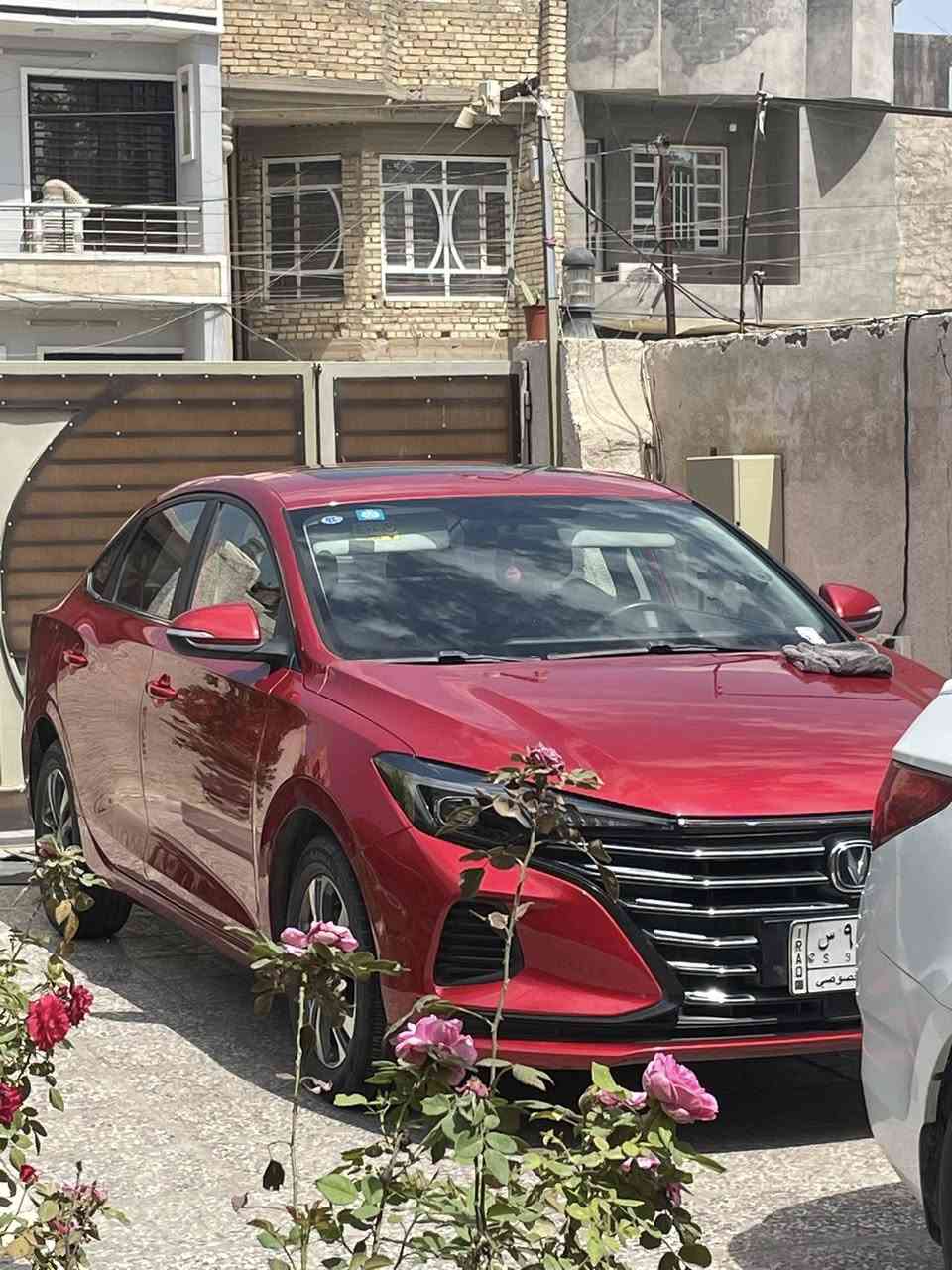 سلام عليكم شانجان ايدو بلاس 2024
سياره نص فول 
مكينة1600 تنفس طبيعي 
كير ٨ نمر 
فتحة وبصمة رادار خلفي 
اشاير بالمري مواصفات معروفه 
ماشية ١١٦ الف كيلو 
بيها تبديل بنيد فقط بدون دواخل 
رقم بغداد 
ملاحظة التغليف للجمالية والبنيد اسود طافي ماصبغته بعدني 
بيها كم رصعة بسيطة 
باقي تفاصيل السيارة عالخاص 
السعر شدة 105 وبيها مجال 
مكاني بغداد 
محمد ***********
