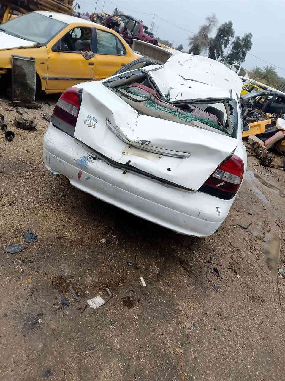 تفصيخ بابل مشروع المسيب دق على ال***********
