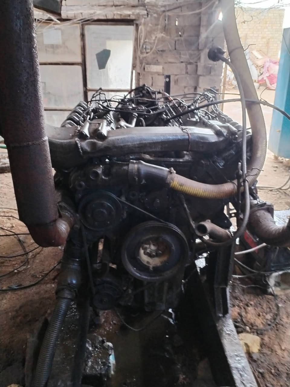 سلام عليكم مولده لبيع
توصل علئ رقم *********** لعنوان الديوانيه الحمزه شرقي
