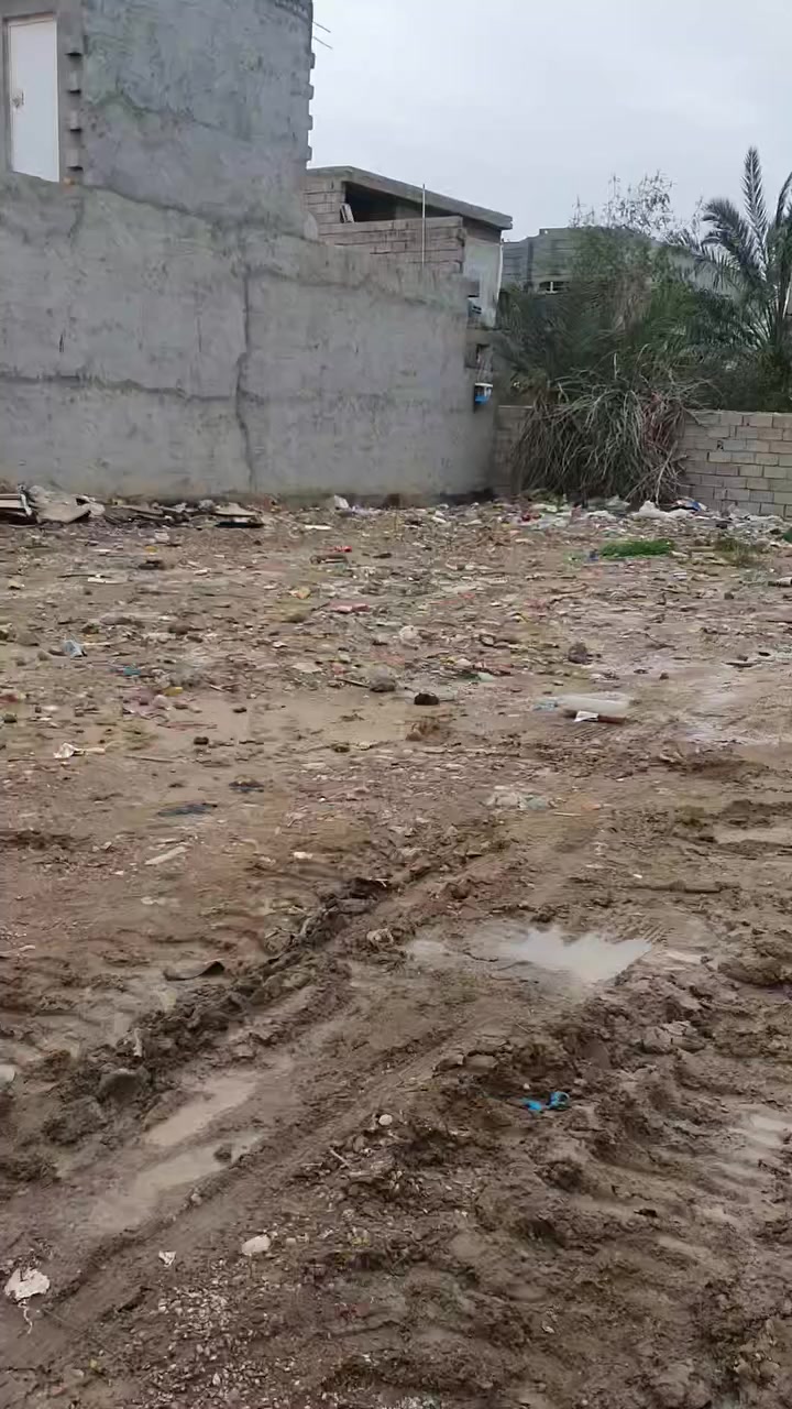 سلام عليكم  قطع البيع  نزال ٢٠ 
وجه ١٦ قطع شارع بيت شلاكه دربونه ابو مصطفى 
ابو المحل بيت ٣ دربونه على يسرع قطعه حلوه كل الخدمات موجوده 
ستفسار ***********
