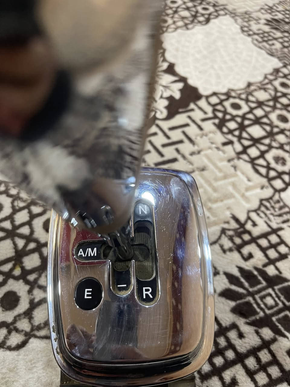 للبيع غراض مال سيارتي تيكو 2013 كل أغراض اصليه 
نضيفه 100/100 العقل المحرك العقل الكير والشاشه 
دجه الكير ودواسة بانزين بسعر مناسب 
للتواصل *********** 
موفر خدمة التوصيل لجميع المحافظات
