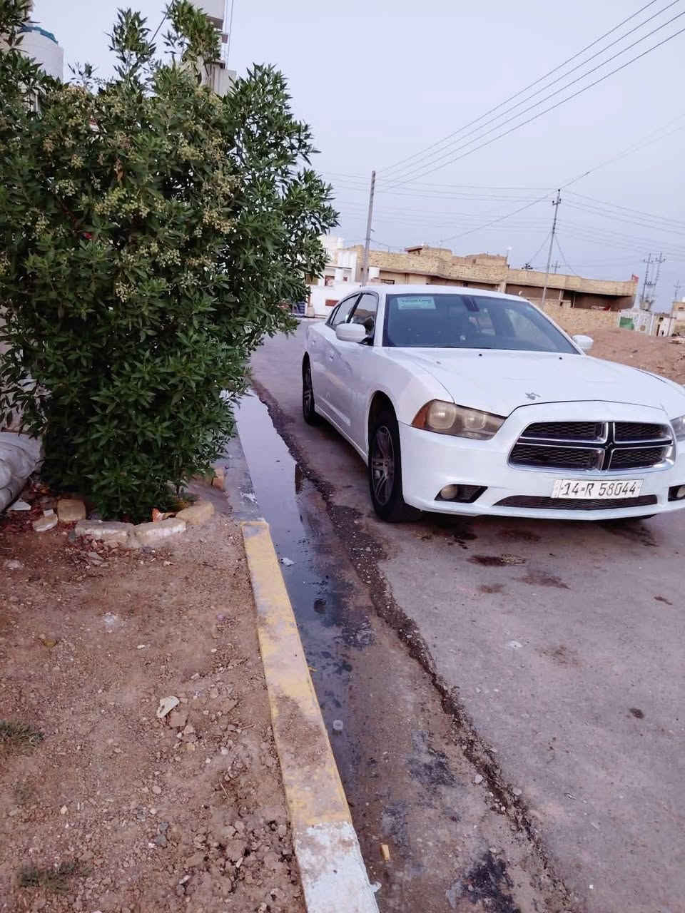 سلام عليكم شباب جارجر وارد كندي داخله كلين سياره هنا صار بيه بارد وماشر علي بصور بيه شويه خياس بلباب لخفي سياره جاهزه حداديه تخم تاير باتري جديد منضومه تبريد ستوني مسويه رقم بصره مشروع وطني تحويل مباشر مكاني ميسان كير ماوس شاشه كبيره تشغيل عن بعد داخل اسود وسعر خابر راعيه شباب مكلف بنشر رقم راعيه يمكم وخابرو بيع فقط بدون مراوس ***********
