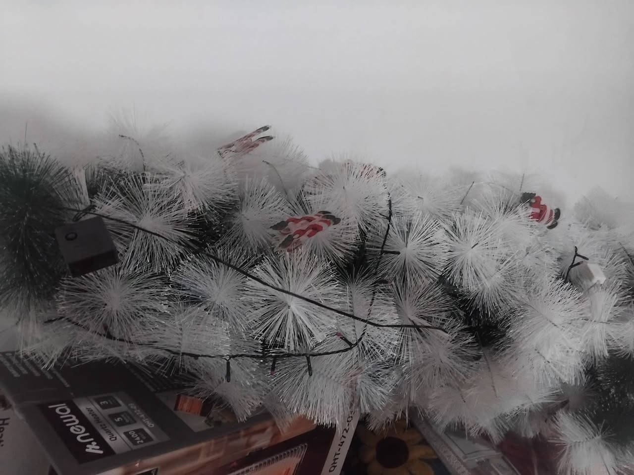 زوليه قياس ٥×٤


**إذا كنت صاحب هذا الإعلان وتريد حذفه لأي سبب، رجاءا أرسل رسالة إلى الدعم الفني**