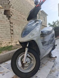 زوج وياله • ماكس • الرمادي