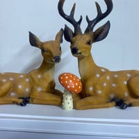 الغزالات • لوكر • اكسسوارات صاج