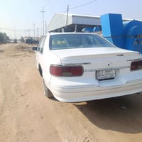 دولفين • ٩٣ • سماوة