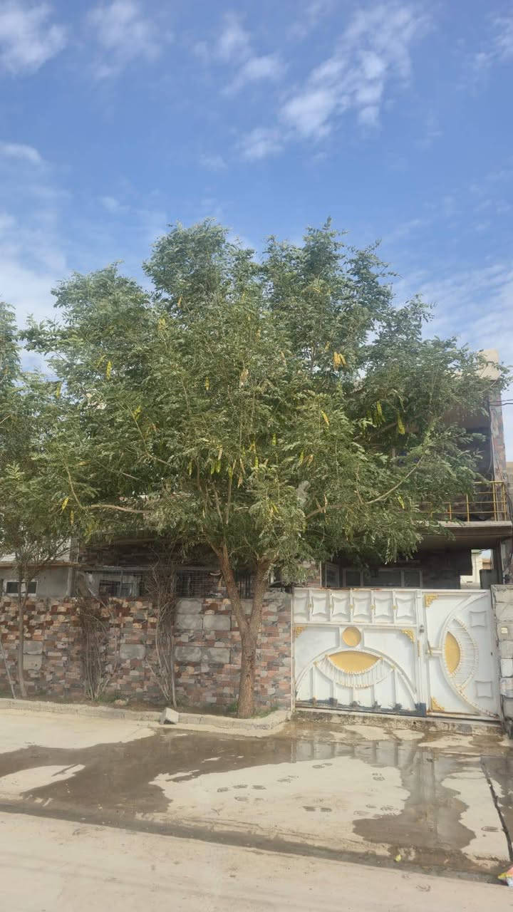 بيت لبيع 
مكان خانقين بارميل 
خلف بيت علي وندي
مشمول بل طابو مع كاونتر تركي 
البيت يحتوي على ٣غرف نوم مع مطبخ مع صالة مع استقبال مع صحيات مع  مخزن
للاستفسار 
‏‪***********‬‏ خناقين, ديالى
