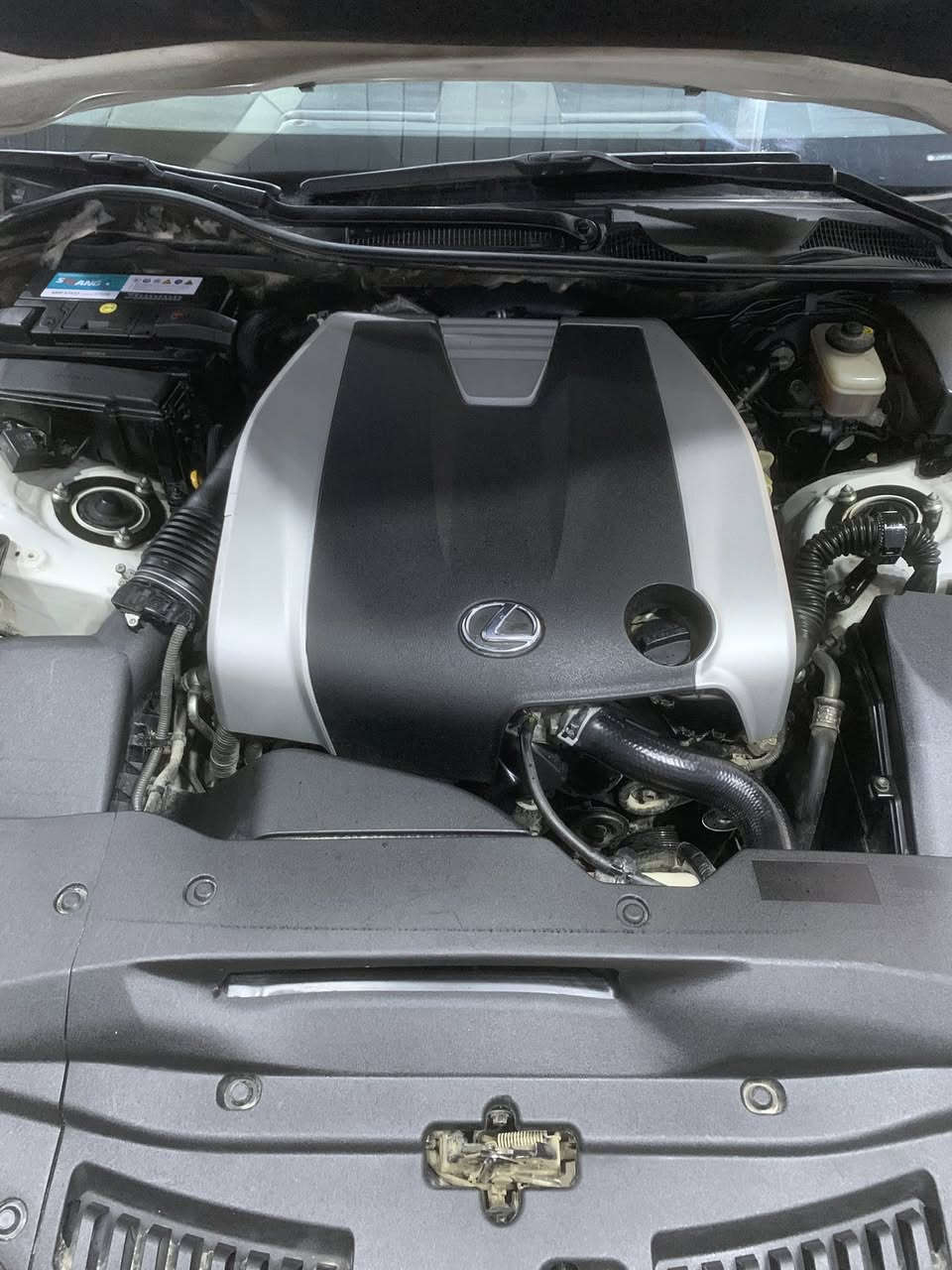 السلام عليكم لكزز GS250 موديل 2012
السياره خليجي ومكفوله عدى الموضح بالفيديو

فوول مواصفات لو اعد ساعه متخلص وجنايتها يعرفون مواصفاتها بغداد بأسمي تحويل وين ماتريد السعر 165 وبيها مجال للطيبين 

مكانها النجف حساسات امامي خلفي كشنات جلد تبريد ثلاث انظمه قياده كأمره دواره جي بي إس أشاير ترحيب بالمري قلاب من ترجع بك خزن ميموري كشن ذاكره السياره احله من الصوره كير محرك شرط برغي مامفتوح حداديه جيده 100/100 ترهم مراوس حسب القناعه***********/***********
