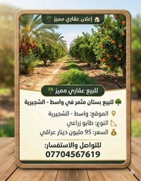 الشجيرية واسط • عقار • للبيع