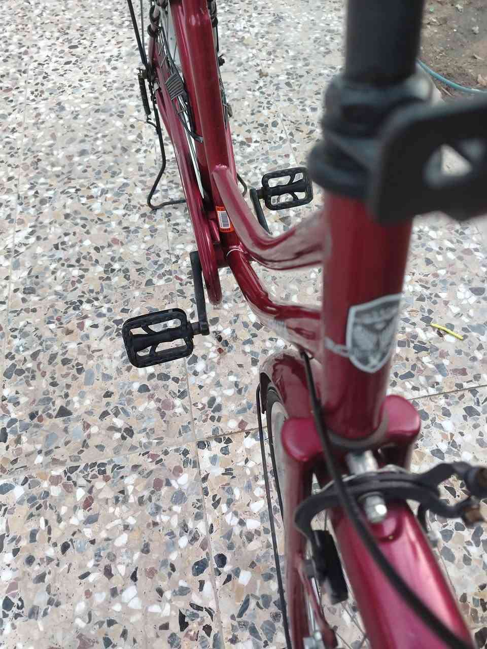 سلام عليكم للبيع باسكل حاويه نضيف احله من صور
لون كرزي  🍒

نضافه 100/90
مكان نجف 
الاستفسار ***********
