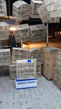 العماره • ديكور