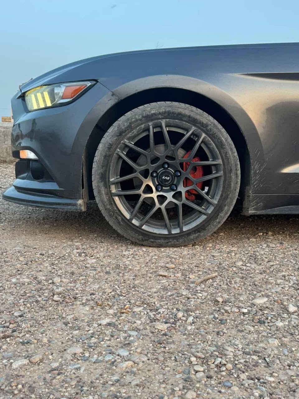 الحلوه للبيع فقط بدون مراوس
فورد موستنك 2015
محرك 6V كير اوتماتيك 
ويل خلفي ويلد 
 انضمه قياده معروفة
السياره نضيفة ونصبة 
سياره بأسمي تحويل ثاني يوم
السياره برغي نقص ما بيها 
🛑السعر 124 و بيها مجال
مكان بغداد كراده-بياع 
للاتصال ***********
السياره تجي تأخذها احلى من الصور بهواية لأن بعدني دارتب بيها بس بيع مستعجل 
قطع ابيعلك حزام
