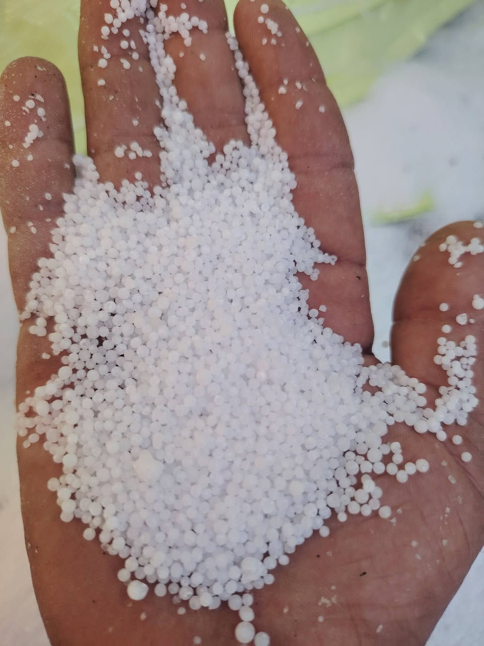 السلام عليكم ورحمة الله وبركاته
إلى أصحاب المحلات التجارية والمزارعون

ماعليك بس خابر يوميه سعر جديد تنزيل جديد

يعلن مكتب علي العيساوي 🏢 🏢

عن توفر سماد# أبيض عراقي محبب درجه

اولى خالي من الطوز وجديد
يعتبر اليوريا العراقي من أفضل أنواع اليوريا حسب تجربة الفلاح كثيراً من الفلاحين الموثوقين

الأسعار مناسبه و تنافسيه جدآ

سعر الطن ٧٠٠ وبيه مجال

جمله# ##مفرد
العنوان
بابل الكفل مقابل كراج بني مسلم

***********
*********** كرارالعيساوي
